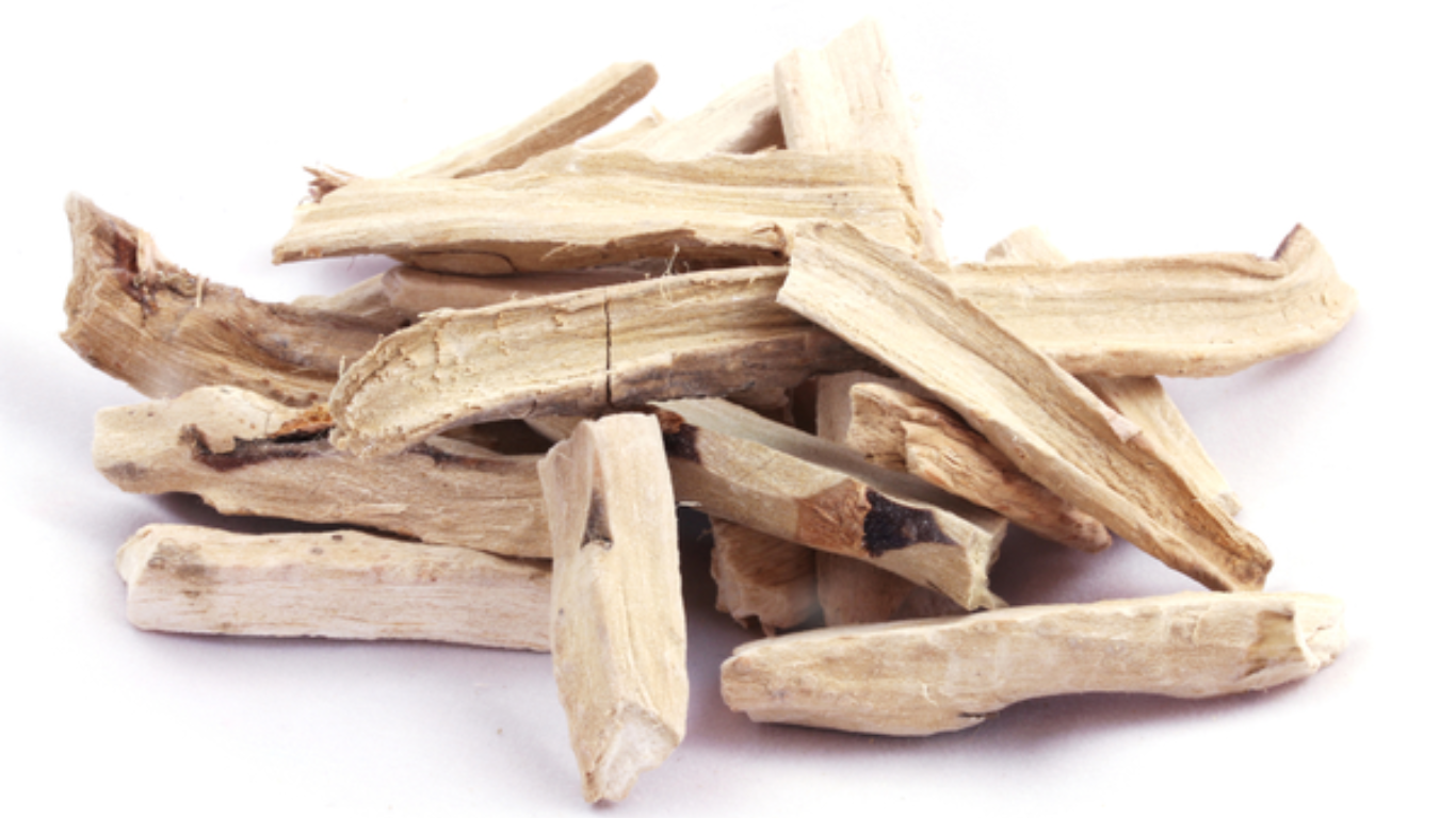 Manufacturer, Exporter, Importer, Supplier, Wholesaler, Retailer, Trader of Acorus calamus (Bach) in Mandsaur, Madhya Pradesh, India