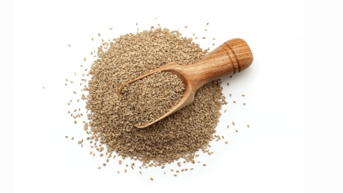 Manufacturer, Exporter, Importer, Supplier, Wholesaler, Retailer, Trader of AJWAIN in Mandsaur, Madhya Pradesh, India