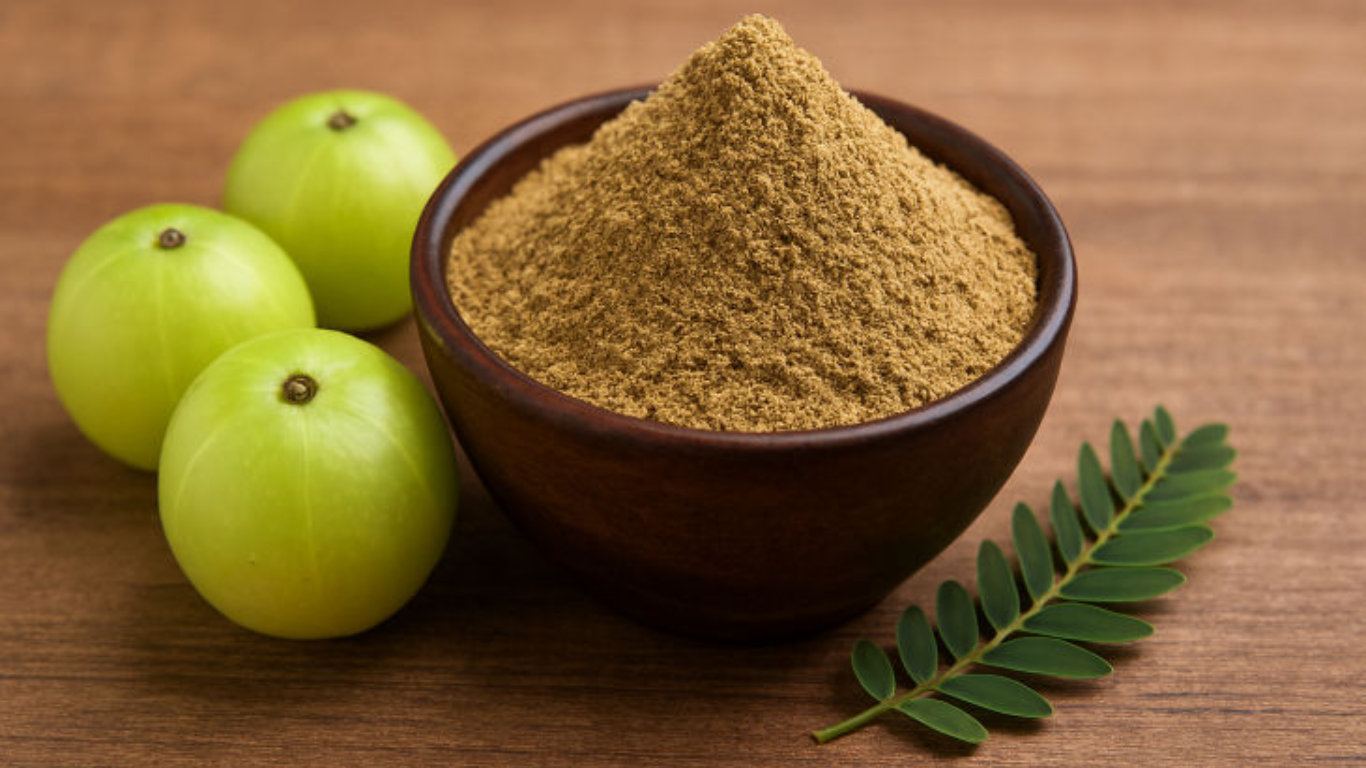 Manufacturer, Exporter, Importer, Supplier, Wholesaler, Retailer, Trader of Amla Powder in Mandsaur, Madhya Pradesh, India