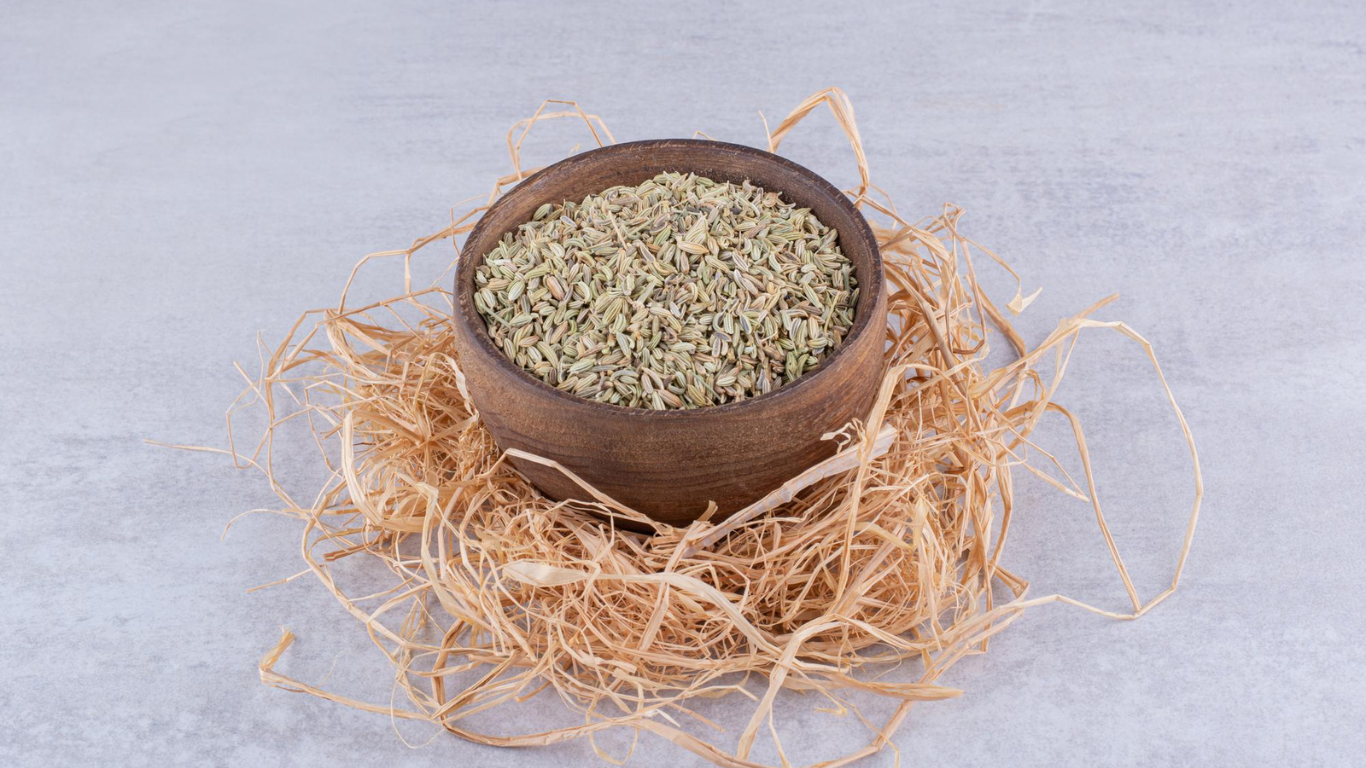 Manufacturer, Exporter, Importer, Supplier, Wholesaler, Retailer, Trader of Andrographis paniculata (Kalmegh) in Mandsaur, Madhya Pradesh, India