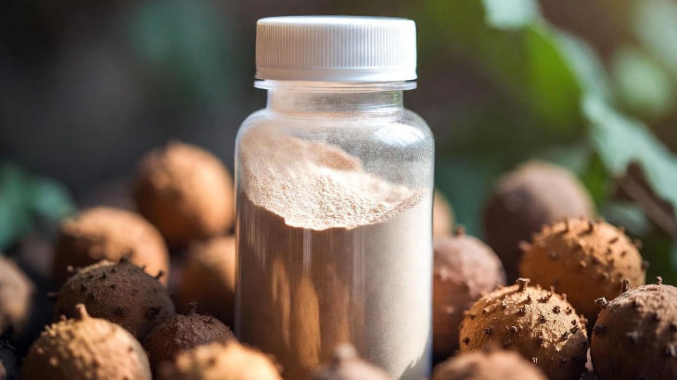 Manufacturer, Exporter, Importer, Supplier, Wholesaler, Retailer, Trader of Aritha Extract in Mandsaur, Madhya Pradesh, India