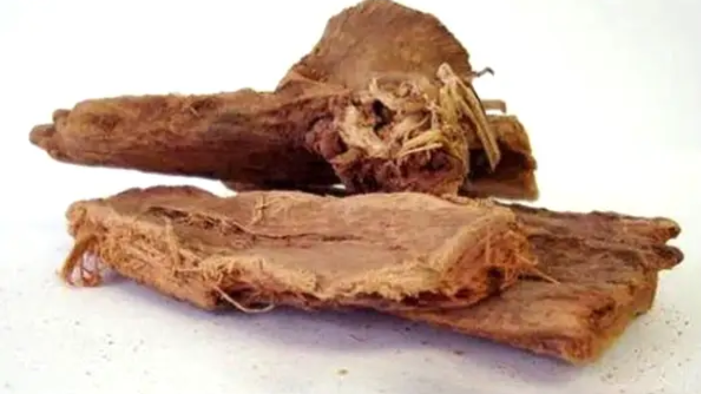 Manufacturer, Exporter, Importer, Supplier, Wholesaler, Retailer, Trader of Ashok chaal (Saraca indica) in Mandsaur, Madhya Pradesh, India