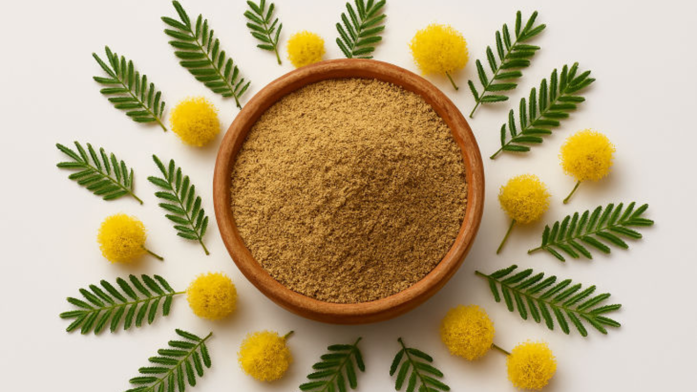 Manufacturer, Exporter, Importer, Supplier, Wholesaler, Retailer, Trader of Babool Extract in Mandsaur, Madhya Pradesh, India