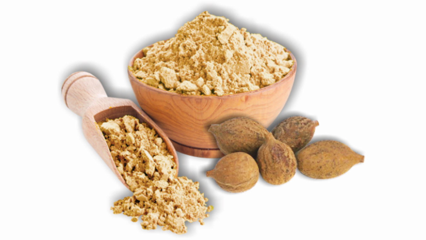 Manufacturer, Exporter, Importer, Supplier, Wholesaler, Retailer, Trader of BAHERA in Mandsaur, Madhya Pradesh, India