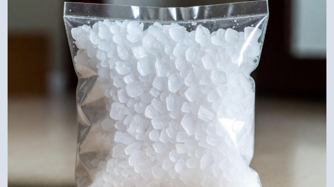 Manufacturer, Exporter, Importer, Supplier, Wholesaler, Retailer, Trader of Bhimseni Camphor in Mandsaur, Madhya Pradesh, India