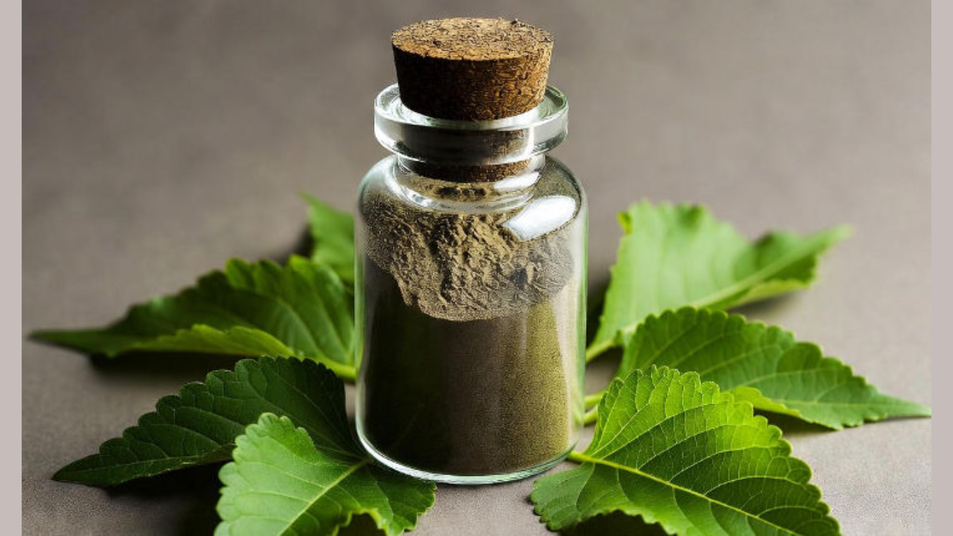 Manufacturer, Exporter, Importer, Supplier, Wholesaler, Retailer, Trader of Bhringraj Extract in Mandsaur, Madhya Pradesh, India