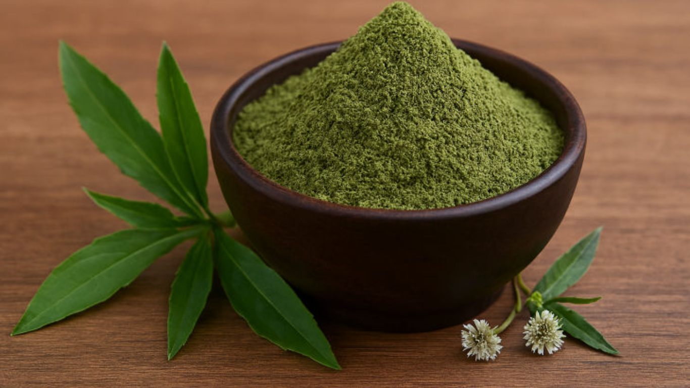 Manufacturer, Exporter, Importer, Supplier, Wholesaler, Retailer, Trader of Bhringraj Powder in Mandsaur, Madhya Pradesh, India