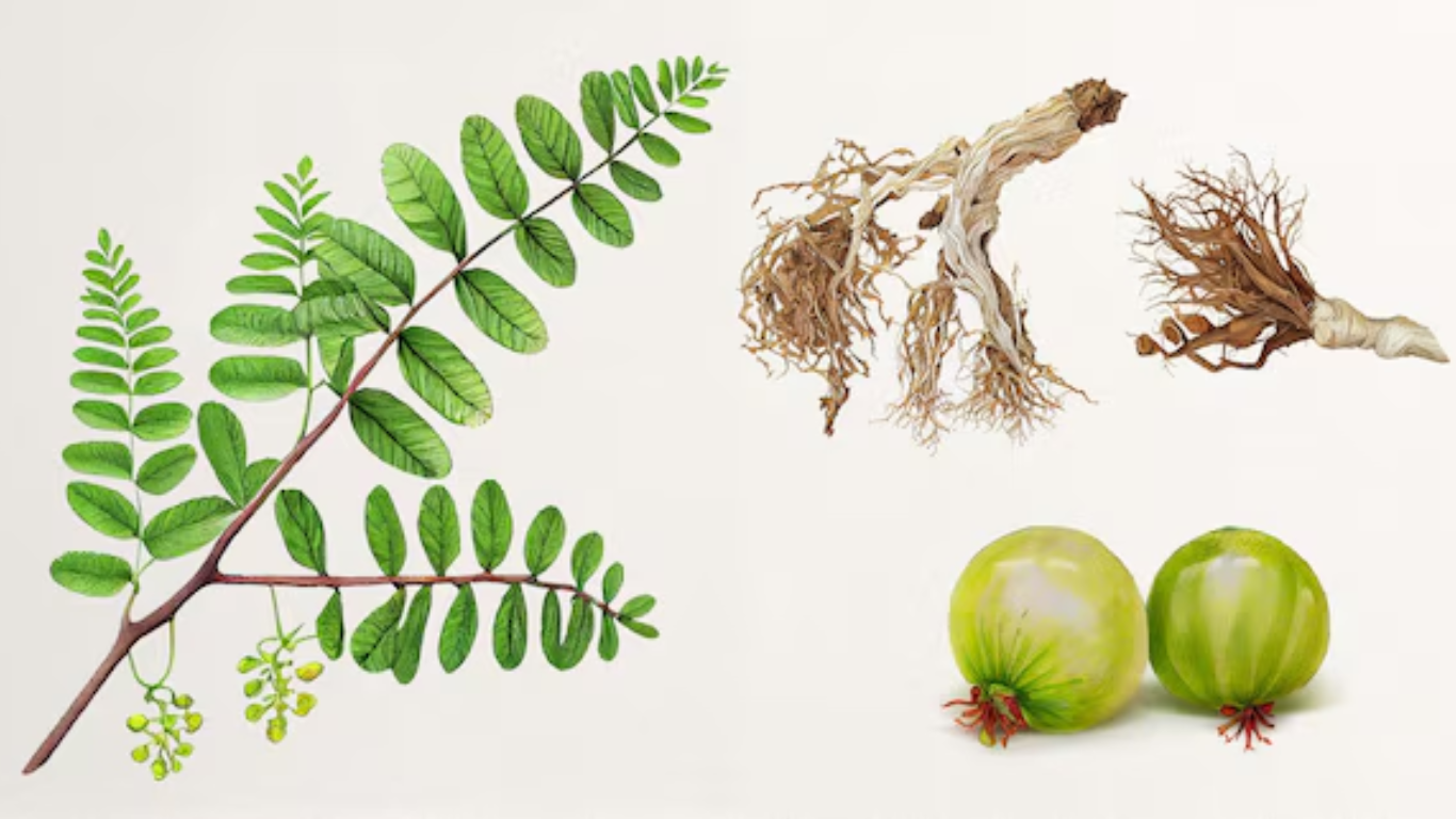 Manufacturer, Exporter, Importer, Supplier, Wholesaler, Retailer, Trader of BHUI AMLA in Mandsaur, Madhya Pradesh, India