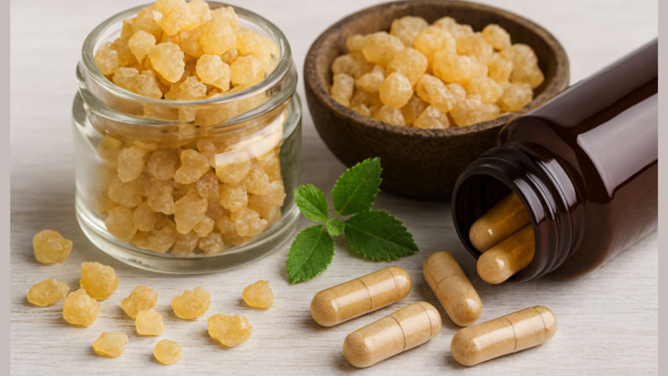 Manufacturer, Exporter, Importer, Supplier, Wholesaler, Retailer, Trader of Boswellia 65% Extract in Mandsaur, Madhya Pradesh, India