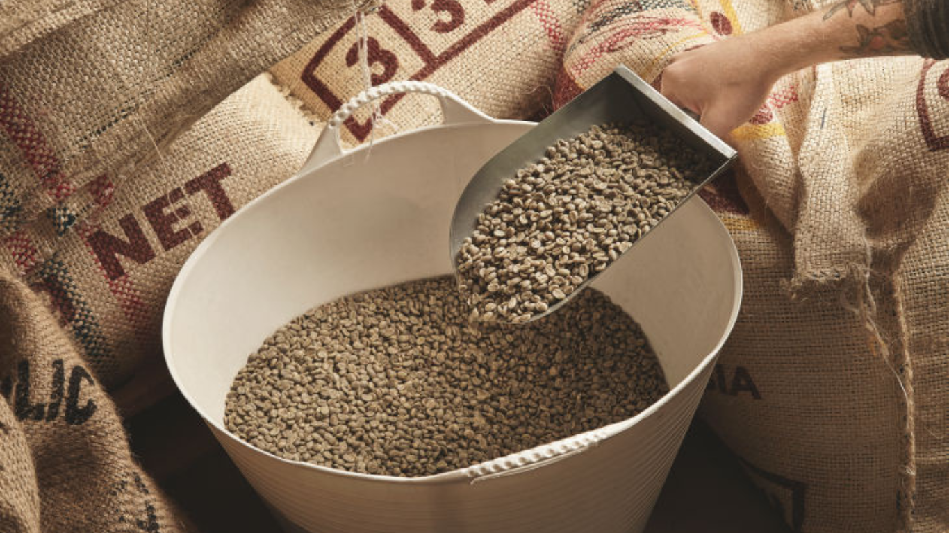 Manufacturer, Exporter, Importer, Supplier, Wholesaler, Retailer, Trader of Cattle / Poultry Feed in Mandsaur, Madhya Pradesh, India