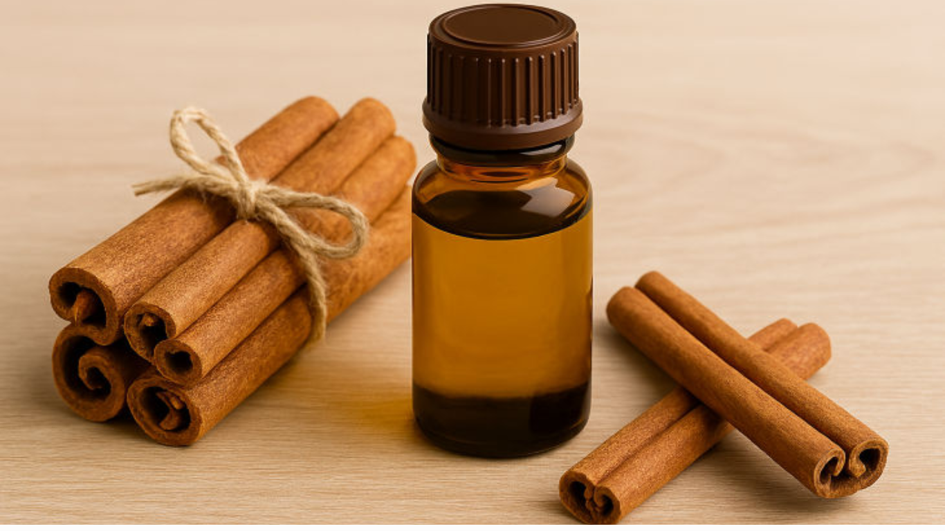 Manufacturer, Exporter, Importer, Supplier, Wholesaler, Retailer, Trader of Cinnamon Essential Oil in Mandsaur, Madhya Pradesh, India