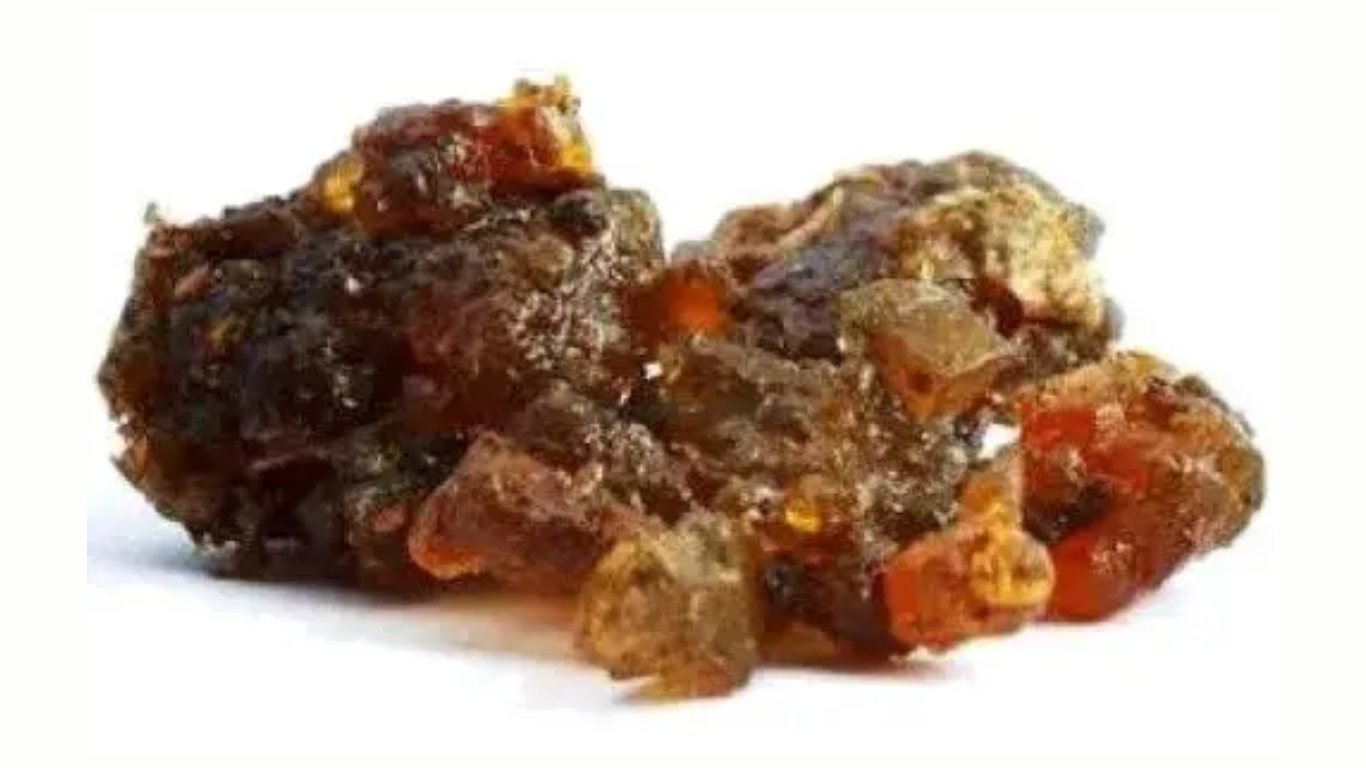 Manufacturer, Exporter, Importer, Supplier, Wholesaler, Retailer, Trader of Commiphora mukul (Guggul) in Mandsaur, Madhya Pradesh, India