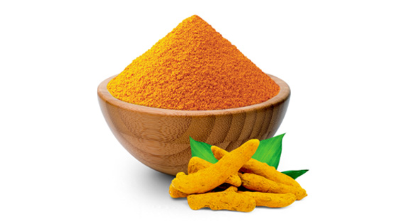 Manufacturer, Exporter, Importer, Supplier, Wholesaler, Retailer, Trader of Curcuma longa (Haldi) in Mandsaur, Madhya Pradesh, India