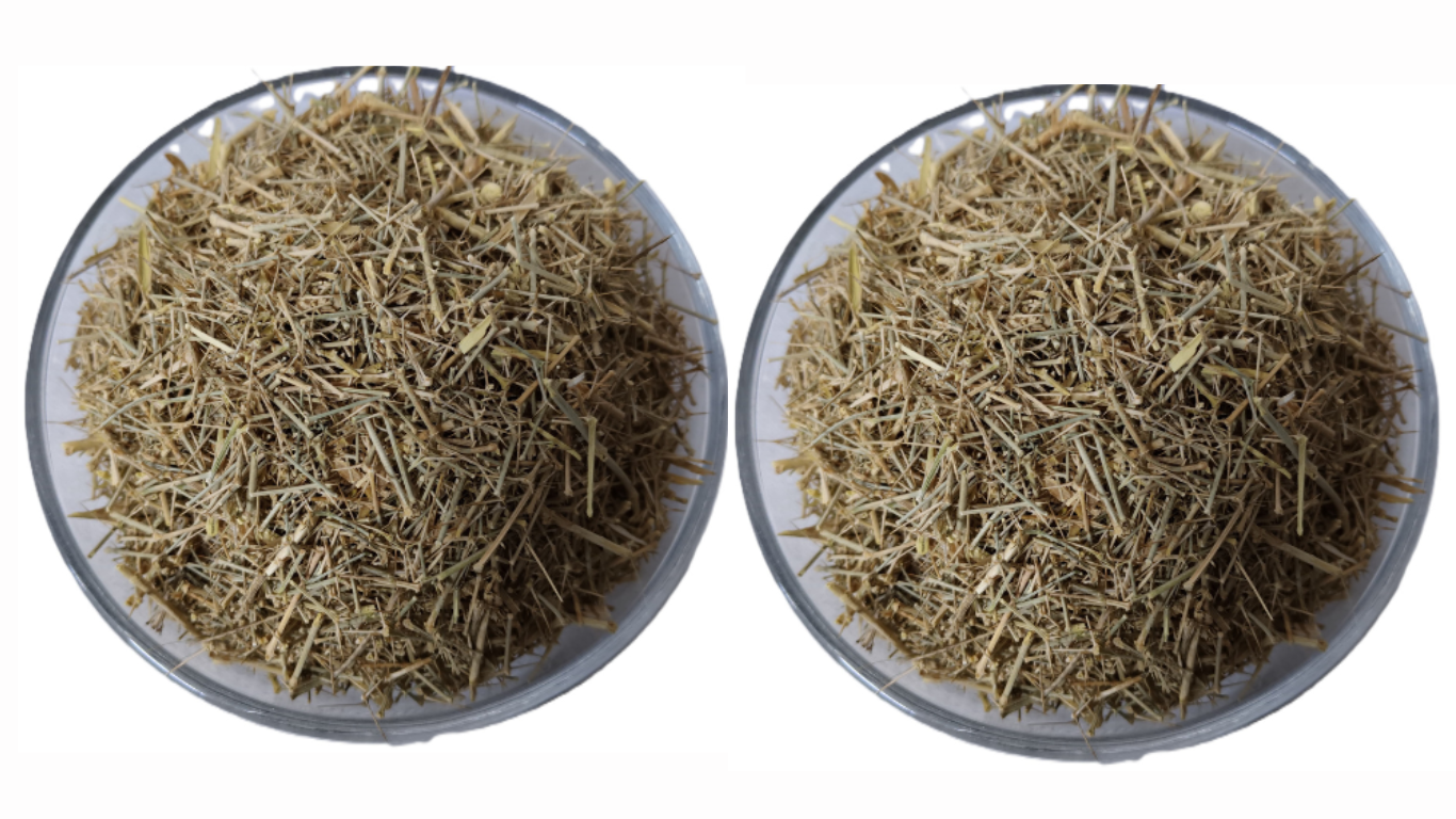 Manufacturer, Exporter, Importer, Supplier, Wholesaler, Retailer, Trader of DHAMASA in Mandsaur, Madhya Pradesh, India