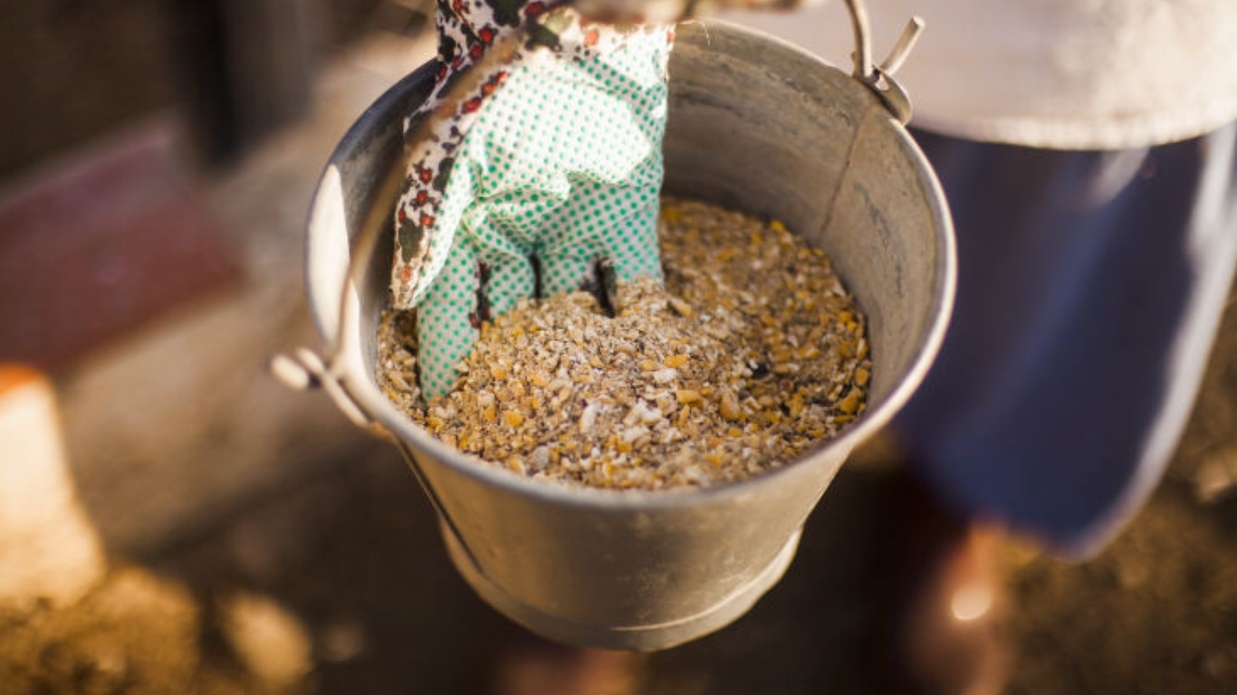 Manufacturer, Exporter, Importer, Supplier, Wholesaler, Retailer, Trader of Digesol Powder in Mandsaur, Madhya Pradesh, India