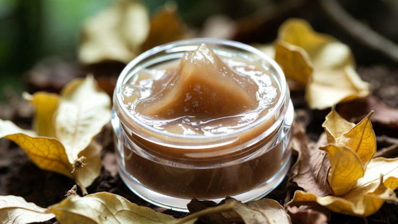 Manufacturer, Exporter, Importer, Supplier, Wholesaler, Retailer, Trader of Dikamali Gum Soft Extract in Mandsaur, Madhya Pradesh, India