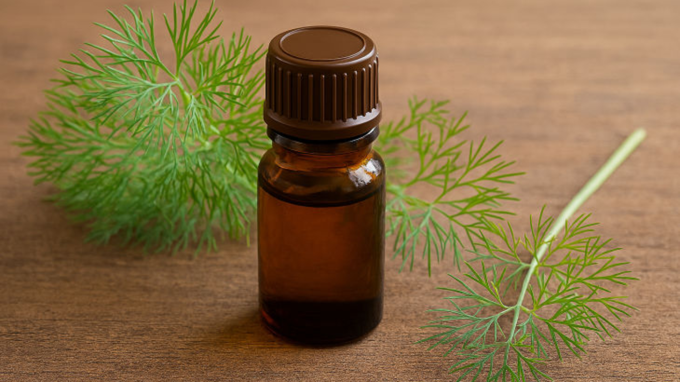 Manufacturer, Exporter, Importer, Supplier, Wholesaler, Retailer, Trader of Dill Essential Oil in Mandsaur, Madhya Pradesh, India