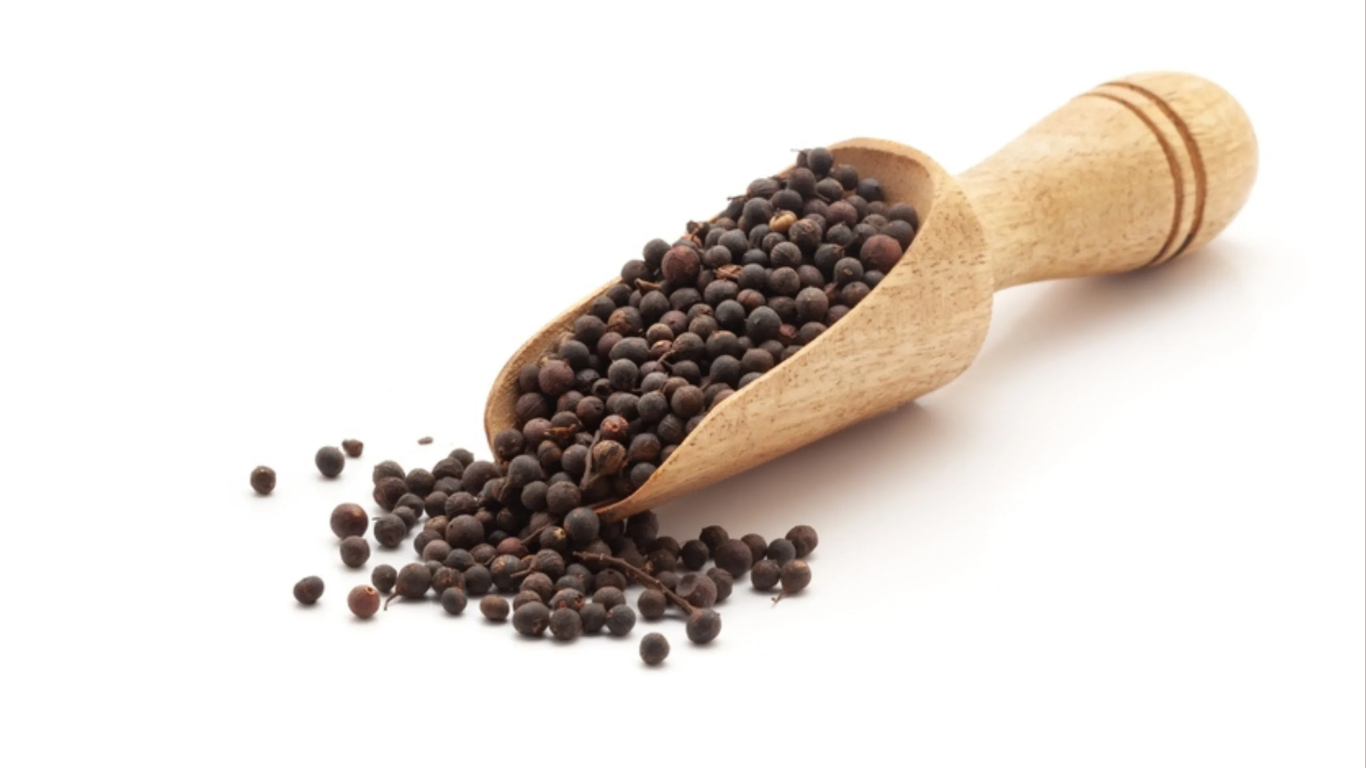 Manufacturer, Exporter, Importer, Supplier, Wholesaler, Retailer, Trader of Embelia ribes (Baibidang) in Mandsaur, Madhya Pradesh, India