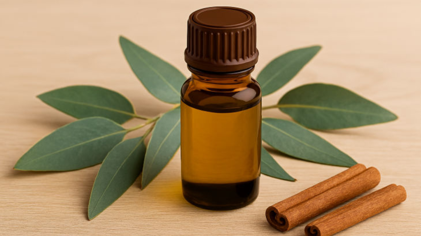 Manufacturer, Exporter, Importer, Supplier, Wholesaler, Retailer, Trader of Eucalyptus Essential Oil in Mandsaur, Madhya Pradesh, India