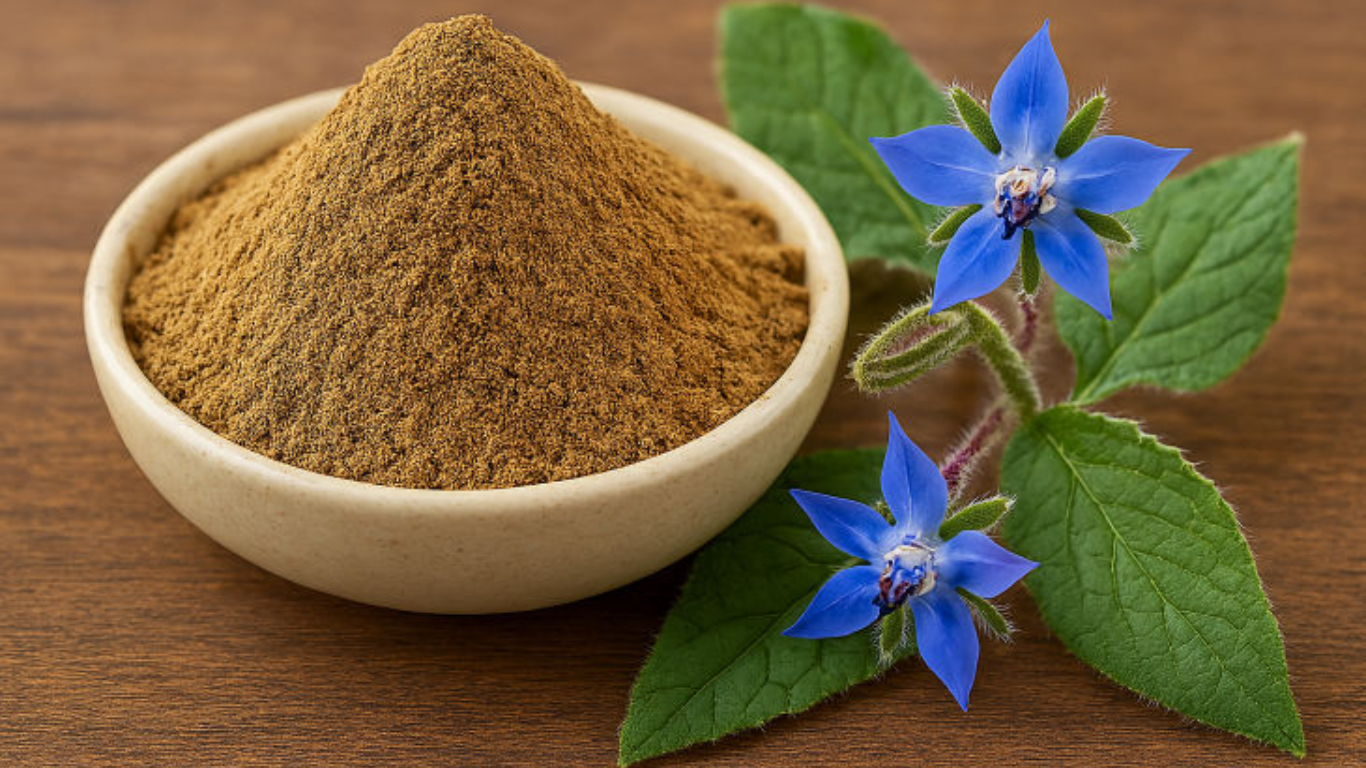 Manufacturer, Exporter, Importer, Supplier, Wholesaler, Retailer, Trader of Gaozaban Extract in Mandsaur, Madhya Pradesh, India