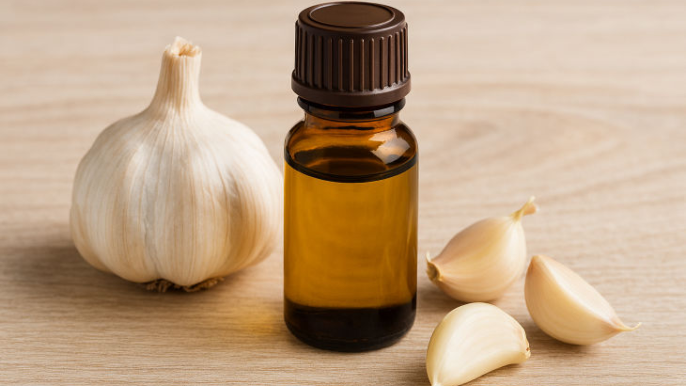 Manufacturer, Exporter, Importer, Supplier, Wholesaler, Retailer, Trader of Garlic Essential Oil in Mandsaur, Madhya Pradesh, India
