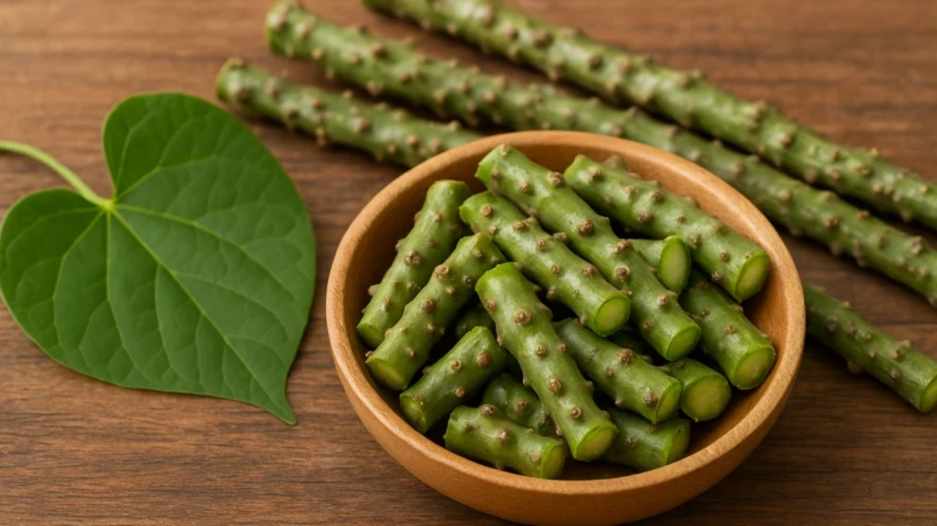 Manufacturer, Exporter, Importer, Supplier, Wholesaler, Retailer, Trader of GILOY in Mandsaur, Madhya Pradesh, India