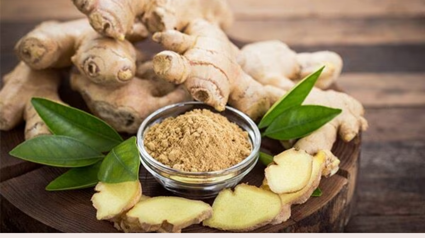 Manufacturer, Exporter, Importer, Supplier, Wholesaler, Retailer, Trader of GINGER in Mandsaur, Madhya Pradesh, India