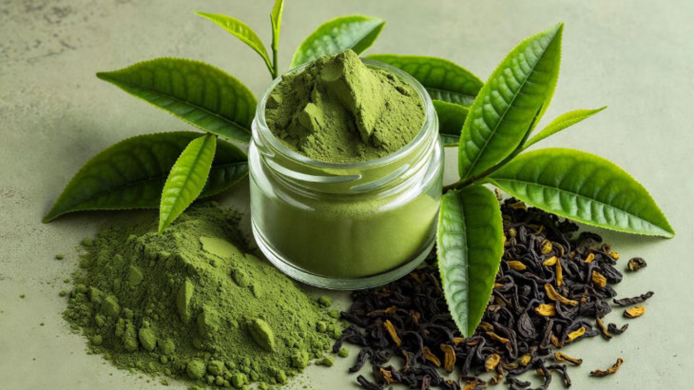Manufacturer, Exporter, Importer, Supplier, Wholesaler, Retailer, Trader of Green Tea Leaf Extract in Mandsaur, Madhya Pradesh, India