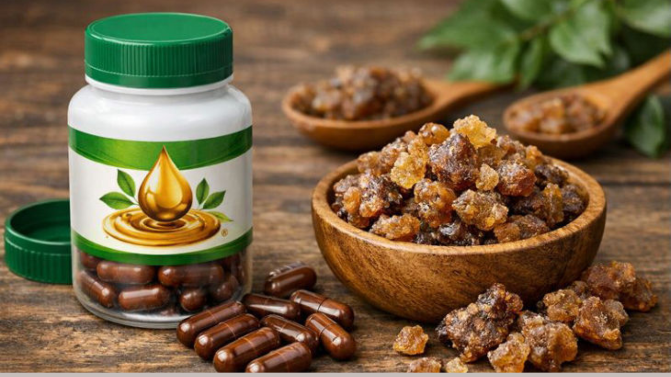 Manufacturer, Exporter, Importer, Supplier, Wholesaler, Retailer, Trader of Guggul Gum Soft Extract in Mandsaur, Madhya Pradesh, India