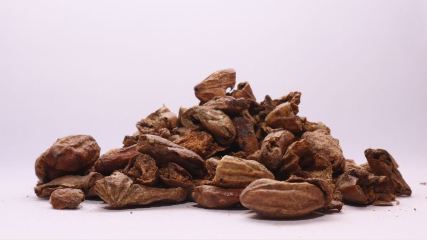 Manufacturer, Exporter, Importer, Supplier, Wholesaler, Retailer, Trader of Haritaki Chilka (Terminalia chebula) in Mandsaur, Madhya Pradesh, India