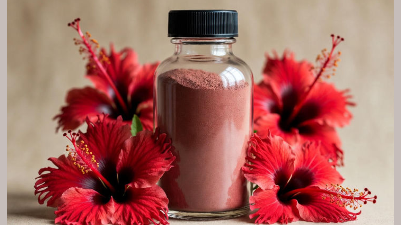 Manufacturer, Exporter, Importer, Supplier, Wholesaler, Retailer, Trader of Hibiscus Extract in Mandsaur, Madhya Pradesh, India