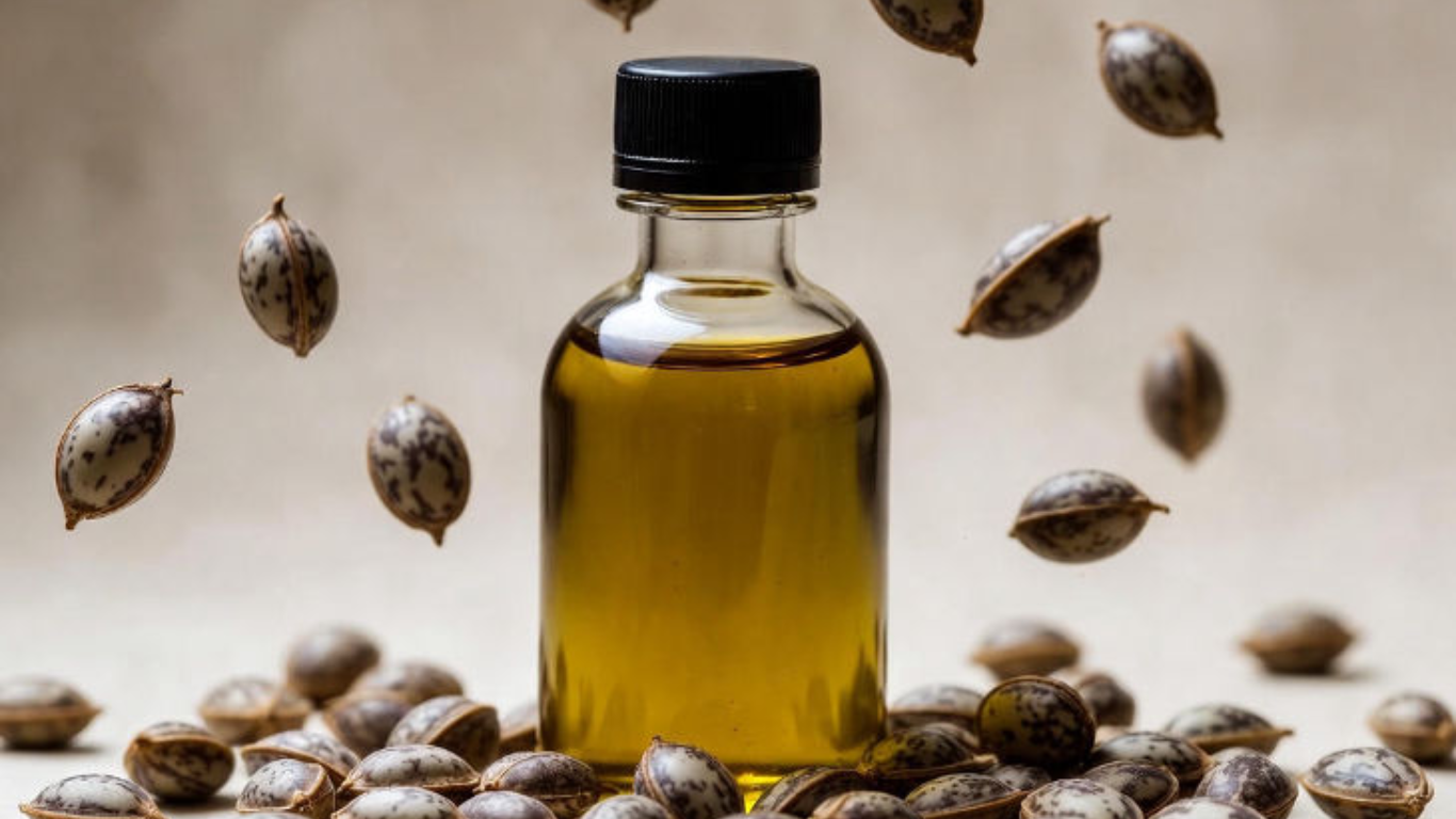 Manufacturer, Exporter, Importer, Supplier, Wholesaler, Retailer, Trader of Jatropha Seed Oil in Mandsaur, Madhya Pradesh, India