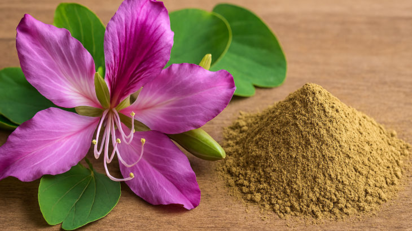 Manufacturer, Exporter, Importer, Supplier, Wholesaler, Retailer, Trader of Kachnar Extract in Mandsaur, Madhya Pradesh, India