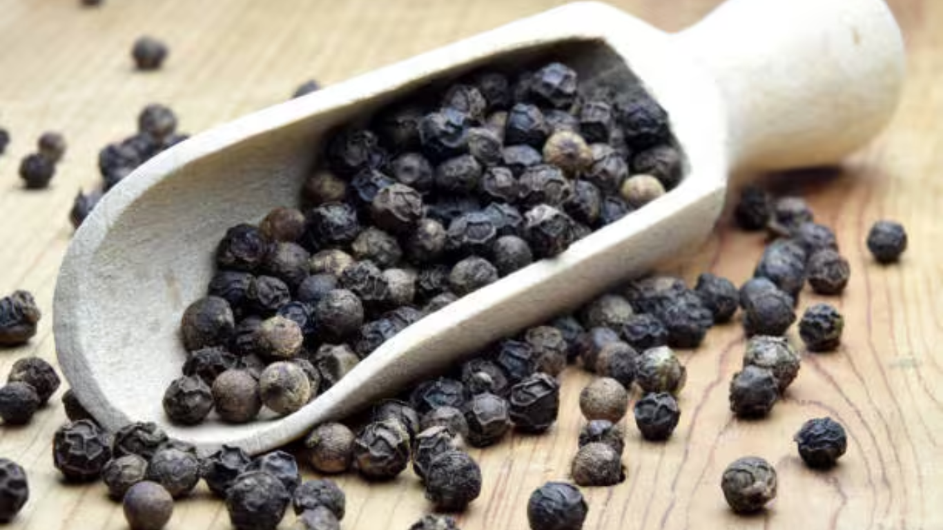 Manufacturer, Exporter, Importer, Supplier, Wholesaler, Retailer, Trader of KALI MIRCH in Mandsaur, Madhya Pradesh, India