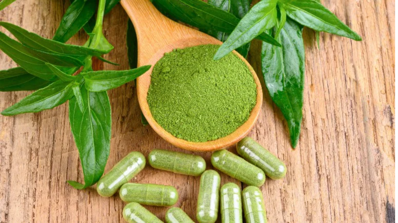 Manufacturer, Exporter, Importer, Supplier, Wholesaler, Retailer, Trader of KALMEGH in Mandsaur, Madhya Pradesh, India