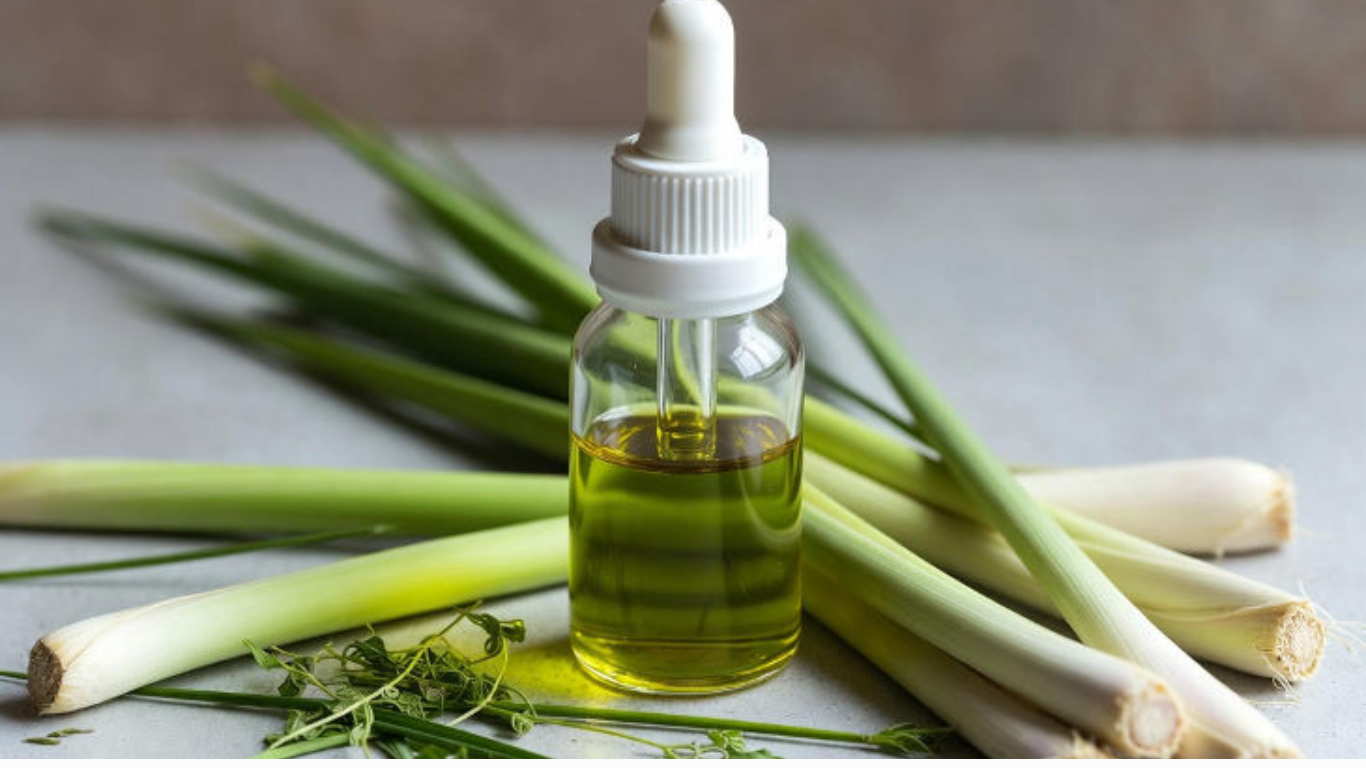 Manufacturer, Exporter, Importer, Supplier, Wholesaler, Retailer, Trader of Lemon Grass Essential Oil in Mandsaur, Madhya Pradesh, India