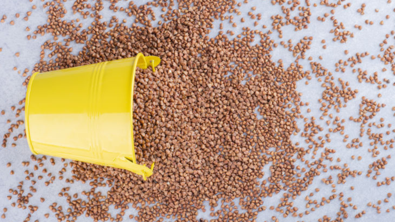 Manufacturer, Exporter, Importer, Supplier, Wholesaler, Retailer, Trader of Liver tonic in Mandsaur, Madhya Pradesh, India