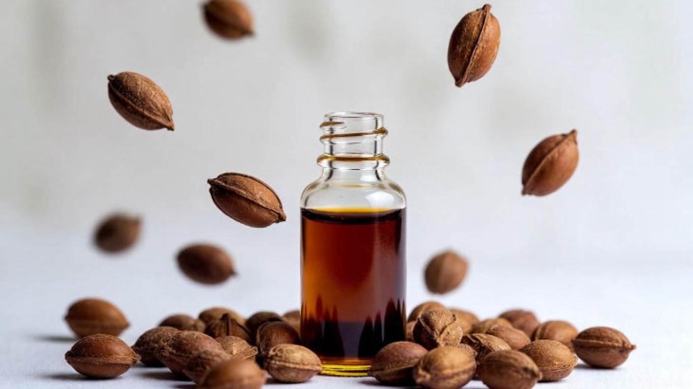 Manufacturer, Exporter, Importer, Supplier, Wholesaler, Retailer, Trader of Mahuva Seed Oil in Mandsaur, Madhya Pradesh, India