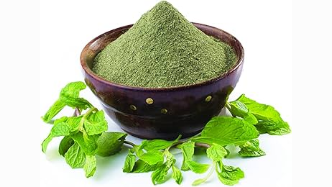 Manufacturer, Exporter, Importer, Supplier, Wholesaler, Retailer, Trader of Mint Powder in Mandsaur, Madhya Pradesh, India