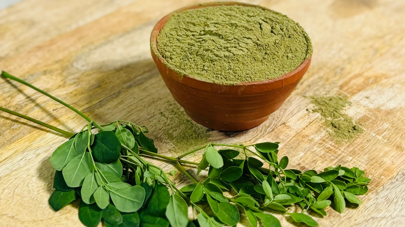 Manufacturer, Exporter, Importer, Supplier, Wholesaler, Retailer, Trader of Moringa Leaf Powder in Mandsaur, Madhya Pradesh, India