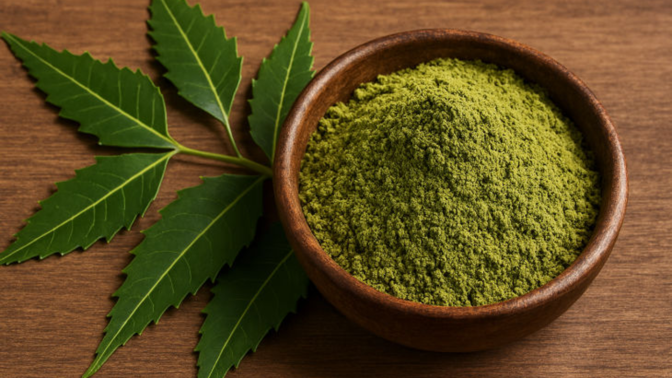 Manufacturer, Exporter, Importer, Supplier, Wholesaler, Retailer, Trader of Neem Extract in Mandsaur, Madhya Pradesh, India