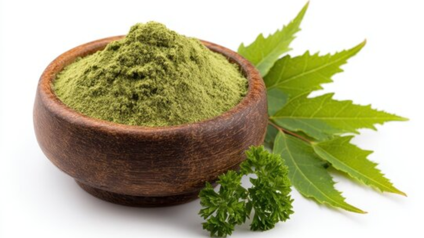 Manufacturer, Exporter, Importer, Supplier, Wholesaler, Retailer, Trader of Neem Powder in Mandsaur, Madhya Pradesh, India