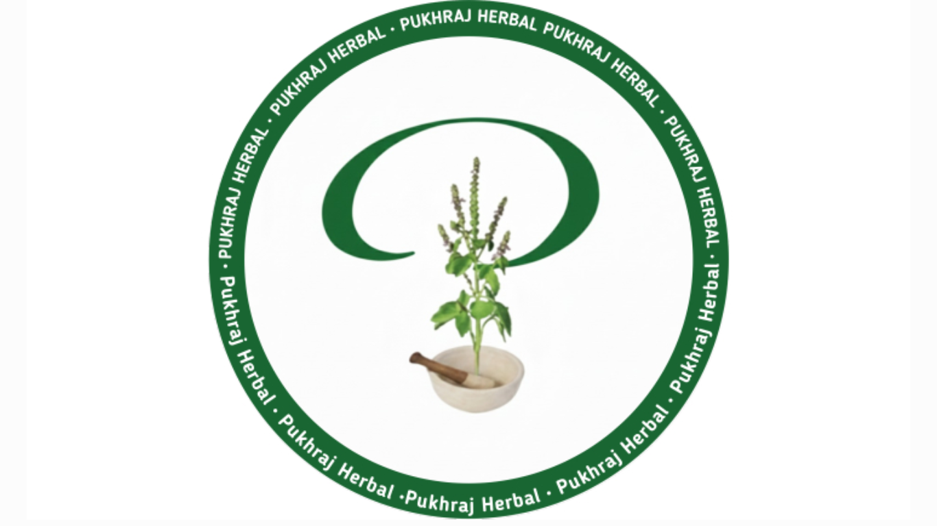 Manufacturer, Exporter, Importer, Supplier, Wholesaler, Retailer, Trader of Olive Oil Extra Virgin in Mandsaur, Madhya Pradesh, India