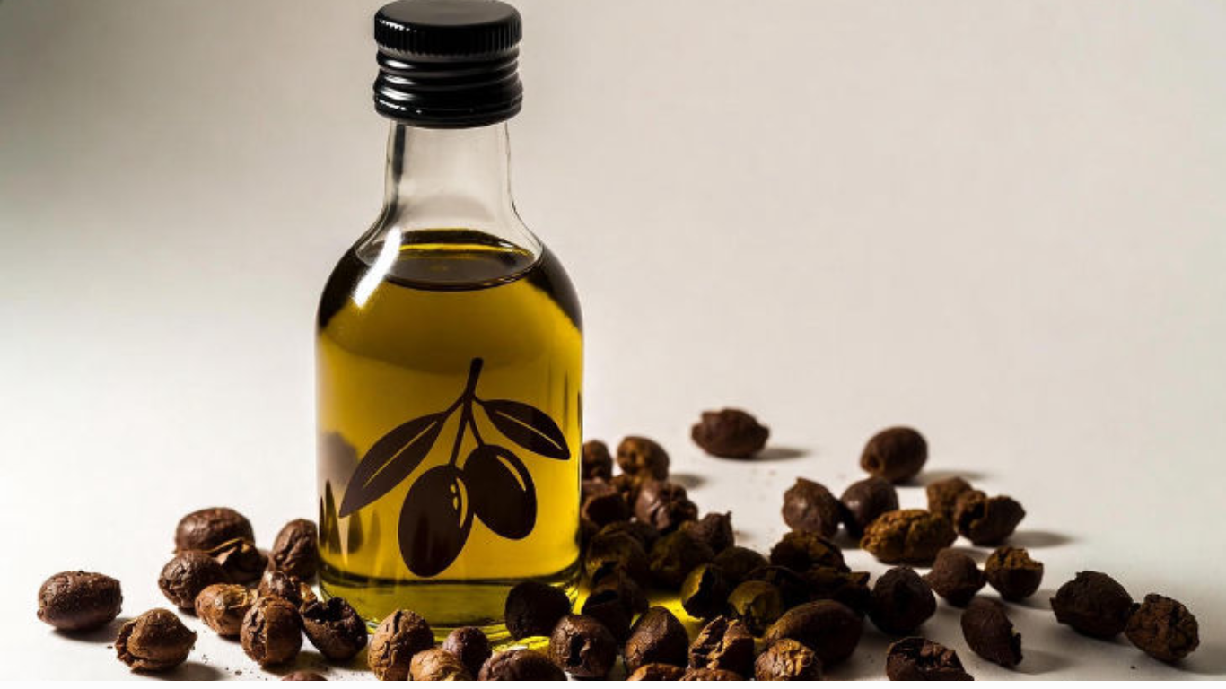 Manufacturer, Exporter, Importer, Supplier, Wholesaler, Retailer, Trader of Olive Oil Pomace in Mandsaur, Madhya Pradesh, India