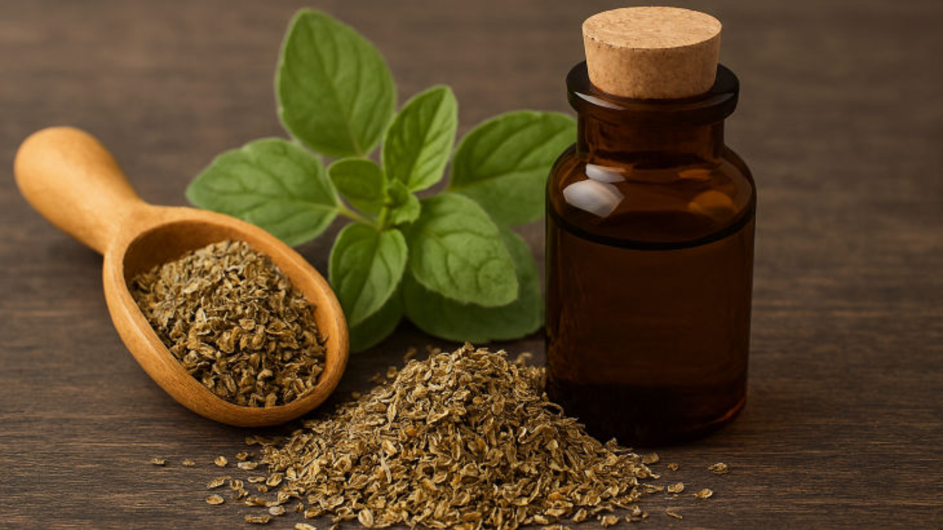 Manufacturer, Exporter, Importer, Supplier, Wholesaler, Retailer, Trader of Oregano Essential Oil in Mandsaur, Madhya Pradesh, India