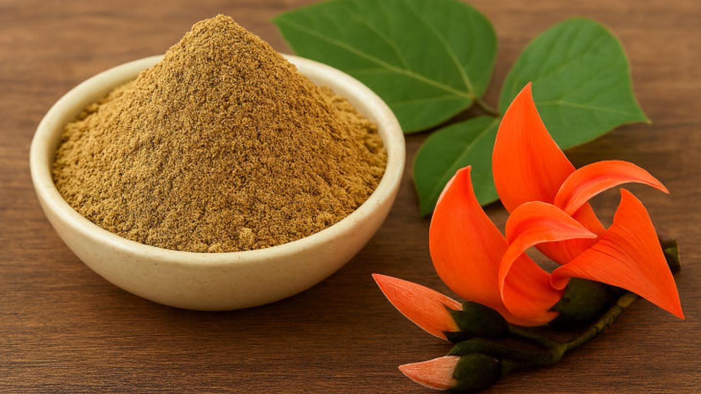 Manufacturer, Exporter, Importer, Supplier, Wholesaler, Retailer, Trader of Palasha Extract in Mandsaur, Madhya Pradesh, India