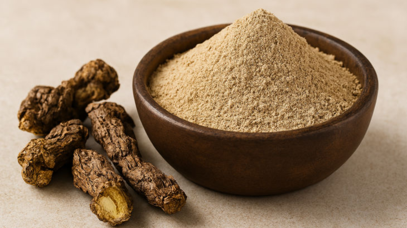 Manufacturer, Exporter, Importer, Supplier, Wholesaler, Retailer, Trader of Pashanbheda Extract in Mandsaur, Madhya Pradesh, India