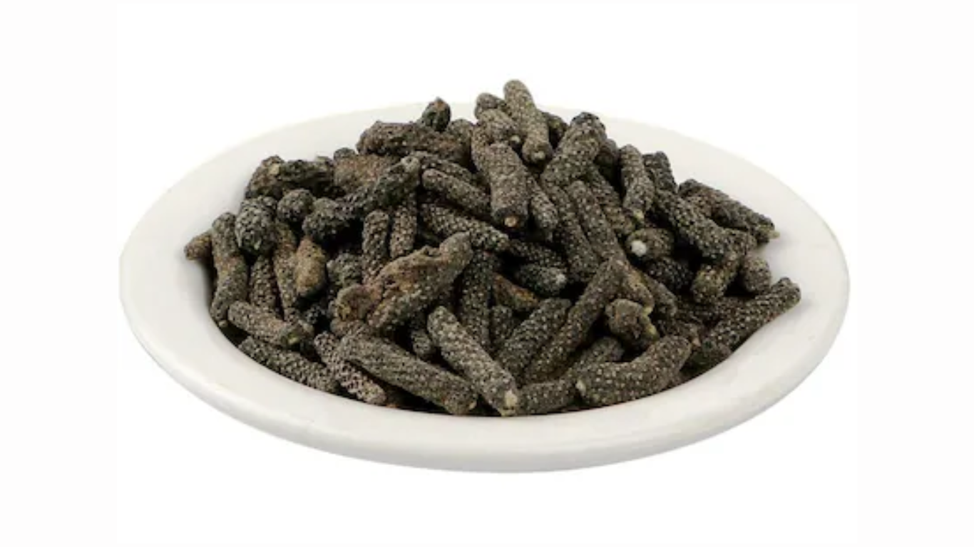 Manufacturer, Exporter, Importer, Supplier, Wholesaler, Retailer, Trader of Piper longum (Peepli) in Mandsaur, Madhya Pradesh, India