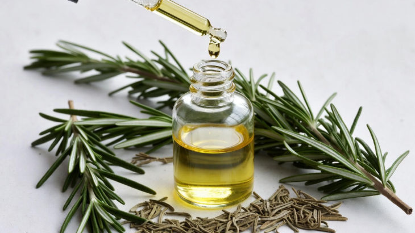 Manufacturer, Exporter, Importer, Supplier, Wholesaler, Retailer, Trader of Rosemary Essential Oil in Mandsaur, Madhya Pradesh, India