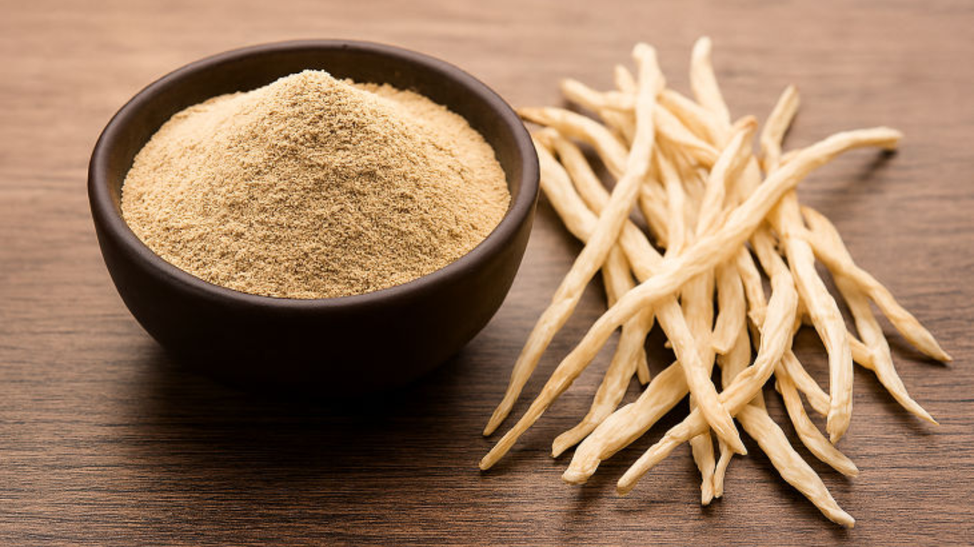 Manufacturer, Exporter, Importer, Supplier, Wholesaler, Retailer, Trader of Safed Musli Extract in Mandsaur, Madhya Pradesh, India